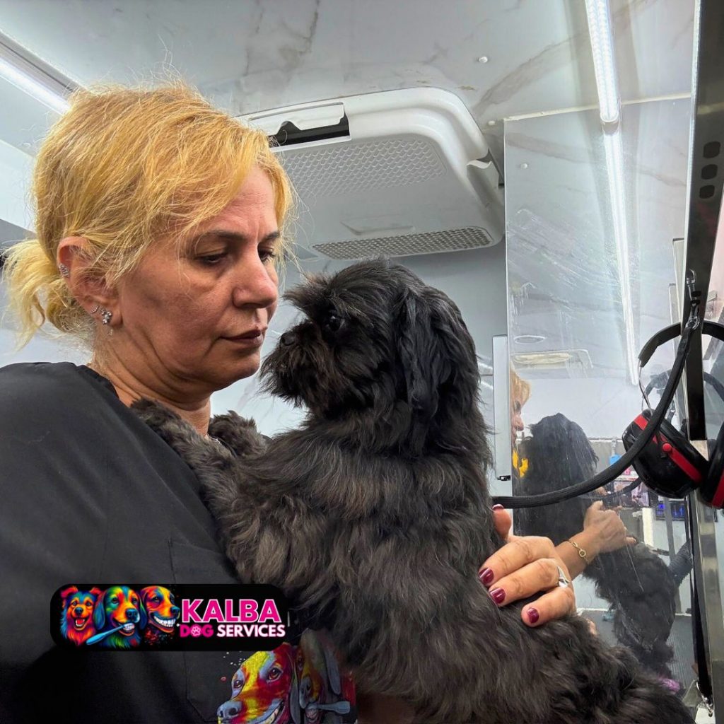 Kalba Dog Services