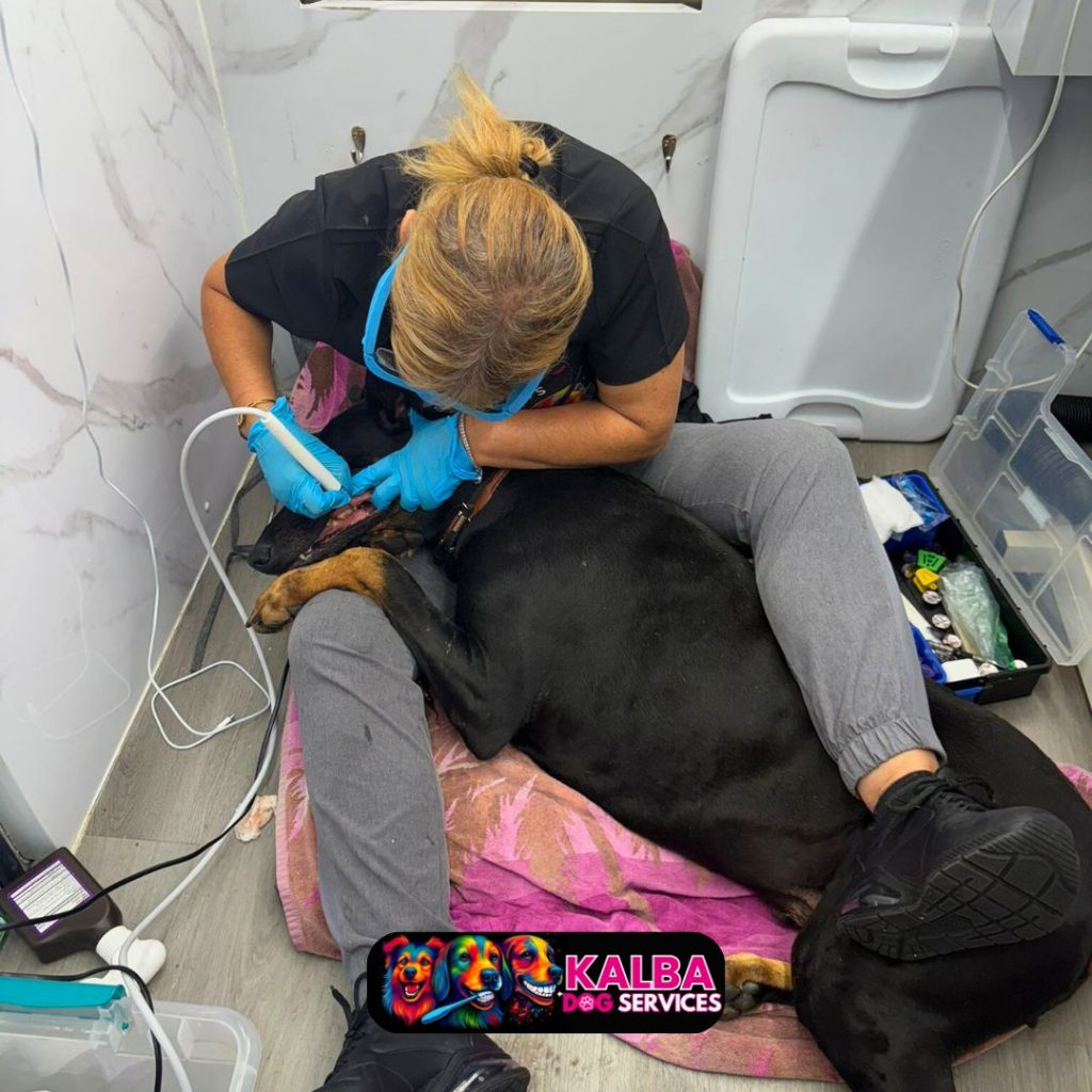 Osnat Shati taking care of teeth cleaning